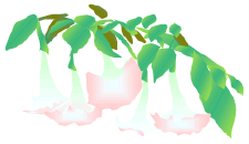 aki137_19[1].png